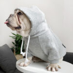Pet with fleece hoodie - Image 5