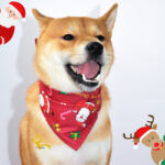 Pet christmas saliva towel - Image 2