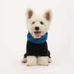 Pet Warm Collar Detachable Windproof Four-leg Clothes - Image 3
