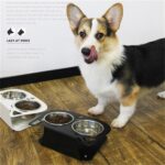 Anti-falling Cat Dog Feeding Water Bowl - Image 2