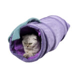 Creative Fruit Funny Pet Cat Tunnel Toys Puppy Ferrets Rabbit Play Dog Tunnel Tubes Toy Tube - Image 7