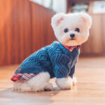 Pet Dog Clothes Sweater Autumn And Winter Clothes - Image 3