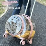 Large Capacity Universal Wheel Fully Transparent Pet Trolley Bag Breathable