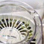 Household Simple Oblique Mouth Cat Drinking Bowl - Image 6