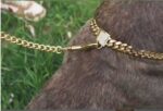 Pet dog collar stainless steel titanium steel gold encryption chain buckle dog chain - Image 2