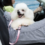 Fashion Personality Travel Car Kennel Supplies - Image 3