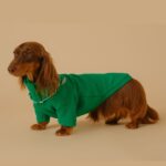 Pet Base Coat Dachshund Dog Clothing - Image 4