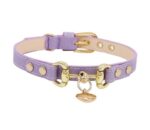 Lizard Pattern Double Buckle Leather Pet Collar - Image 6