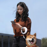 Pet Retractable Traction Rope Upgrade Type Dog Walking Leash Dog Chain - Image 2