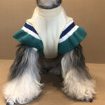 Puppies' Autumn And Winter Padded Sweatshirt - Image 4