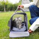 Foldable Small Dog Cat Diaper Bag Outdoor Breathable Shoulder Handbag - Image 4