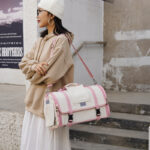 Cat Bag Go Out Portable Breathable Pet Backpack - Image 5