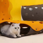 Shape-shifting Cat Nest Rolling Ground Totoro Tunnel Felt - Image 3