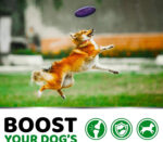 Pet Hip & Joint Supplement Chondroitin Soft Particles - Image 5