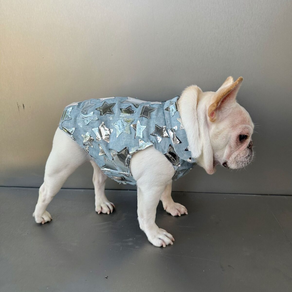 Pet Cat And Dog Summer Thin Denim Vest Jacket - Image 2