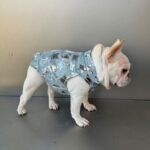 Pet Cat And Dog Summer Thin Denim Vest Jacket - Image 2