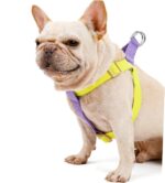 Dog Harness And Leash No Pull Nylon Pet Leashes For Small Dogs French Bulldog Chihuahua Lead Leash And Collar Set For Yorkies - Image 4