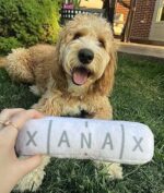 Funny Dog Toy  Parody Plush Squeaky Crinkle Dog Toy - Image 4
