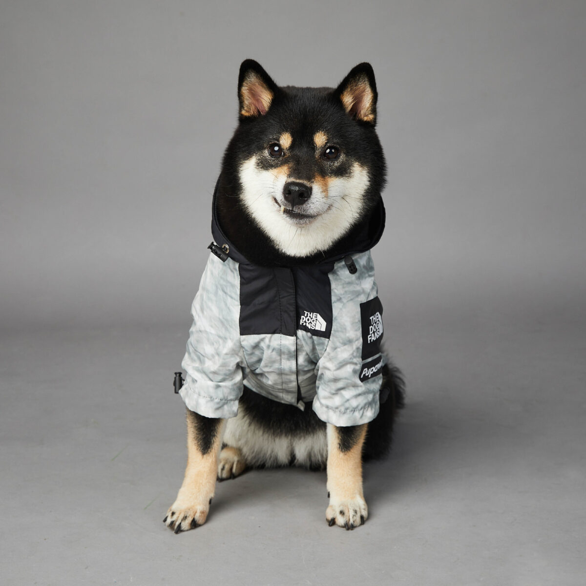 Dog Noodles New Dog Large Dog Dog Pet Shell Jacket - Image 6