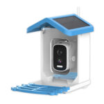 Intelligent Bird Feeding Recognition Solar HD Feeder - Image 5