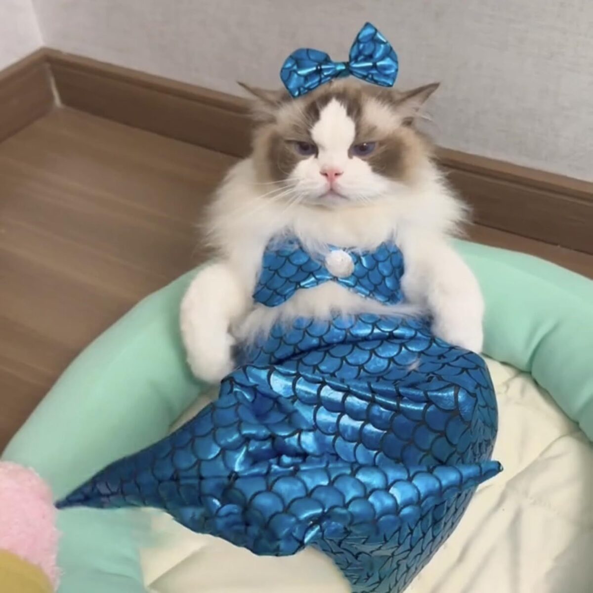Cat Mermaid Costume Creative Cat And Dog Costumes Funny Cat Mermaid Costume Cat Mermaid Fishtail Dress Puppy Mermaid Fishtail Dress Pet Mermaid Costume Humor Funny Photo Props - Image 7