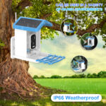 Intelligent Bird Feeding Recognition Solar HD Feeder - Image 2