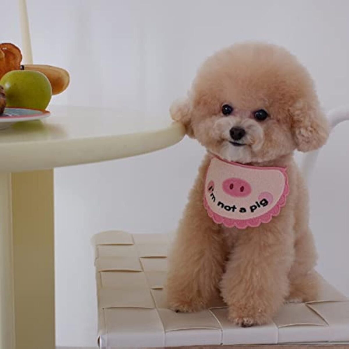 Super Soft Crocheted Cat Saliva Towel For Pets With Cute Pig Decoration - Image 4