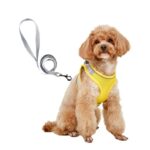 Dog Hand Holding Rope Vest Small Dog Dog Leash Teddy Bichon Breathable Chest Strap Pomeranian Puppy Small Dog Leash - Image 4