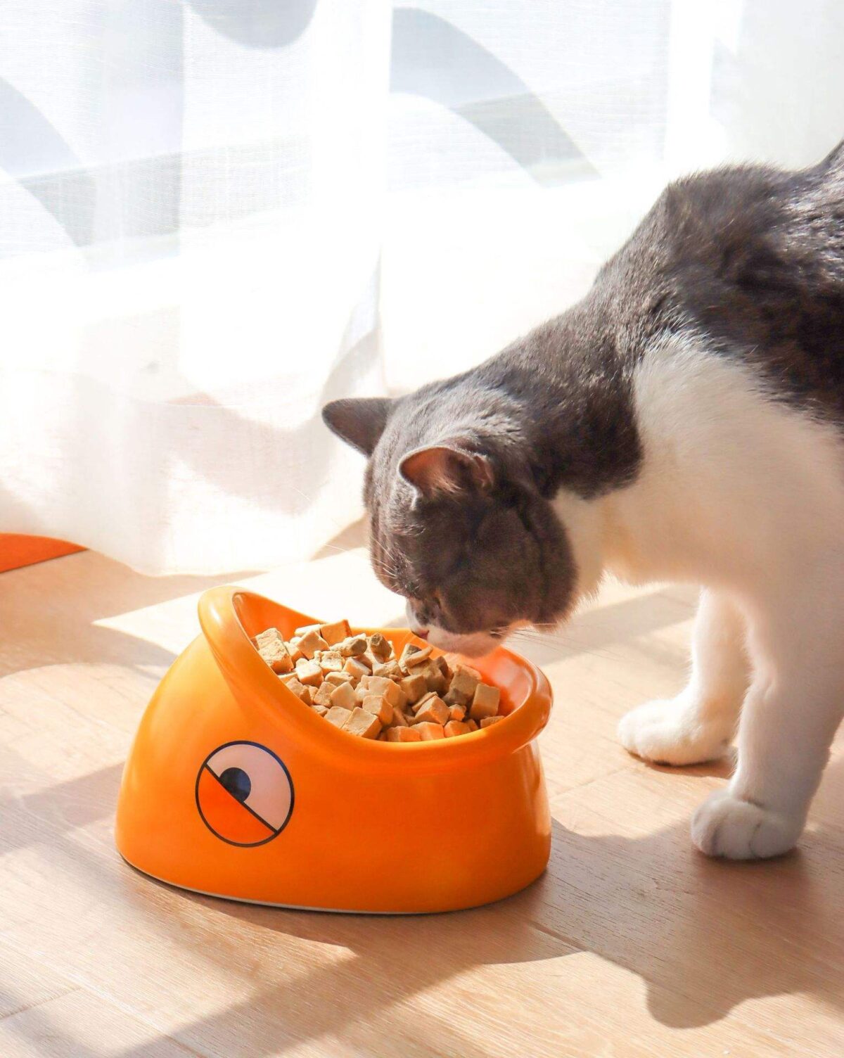 Overturning-proof Pet Food Rice Basin - Image 6