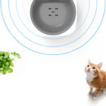 Automatically Filter And Circulate Cat Waterer - Image 3