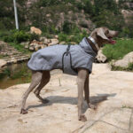 Pet Shell Jacket Dog Winter Outdoors Ski Suit - Image 6