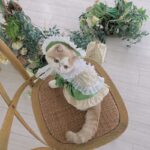 Maid Clothes Lolita Dog Suit Cat Hat - Image 5