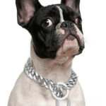 Titanium Steel Metal Hip Hop Pet 15mm Gold Stainless Steel Dog Leash - Image 7