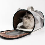 Pet Bag Cat Go Out Carrying Bag Breathable - Image 2