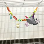 Parrot Acrylic Chain Suspension Bridge Swing Toy - Image 5