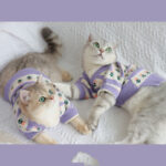 Retro Purple Flower Sweater Cute Pet Cat Dog Autumn And Winter Knitted Clothes - Image 2