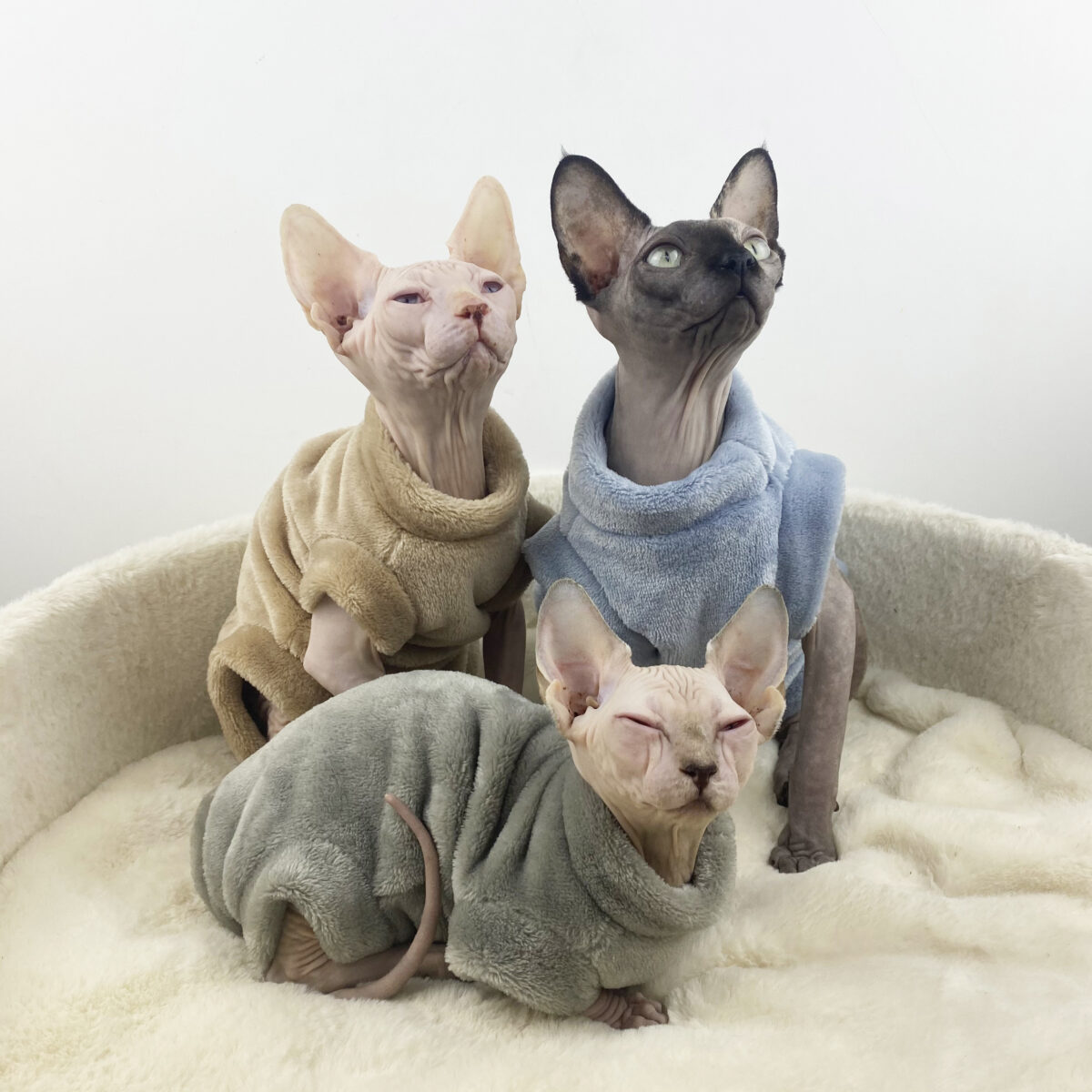 Sphinx Hairless Cat Flannel Thermal Four-legged Jacket - Image 1