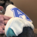 Puppies' Autumn And Winter Padded Sweatshirt - Image 2