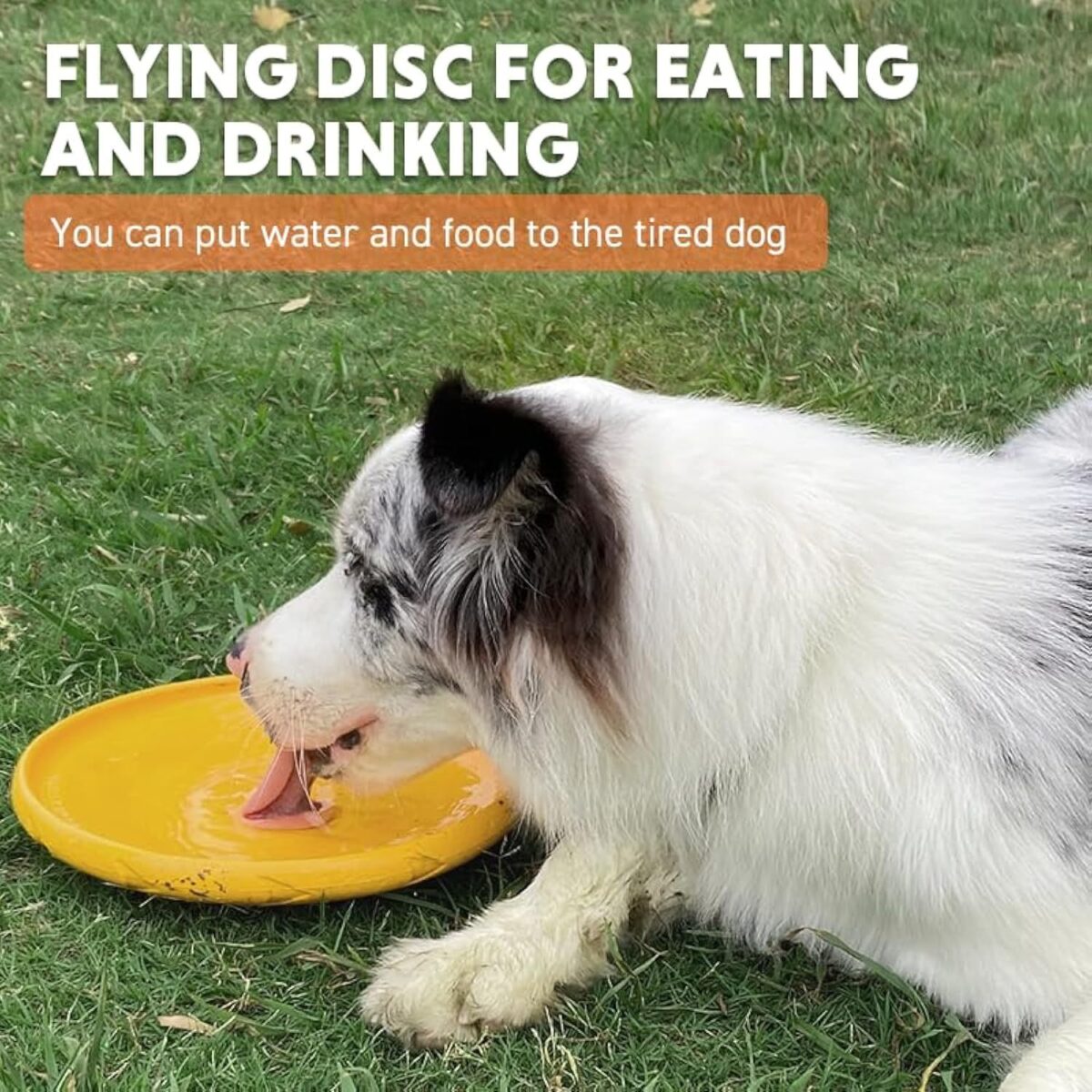 Dog Flying Disc Dog Flying Disc Durable And Interactive Flying Disc For Medium And Large Dogs  Perfect For Summer Parties And Outdoor Playtime - Image 9