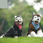 Punk Leather Sweater Dog Autumn And Winter Clothes - Image 5
