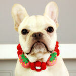 Scarf Japanese Medium Large Dog Pet Corgi Collar - Image 3