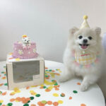 Dog Party Cake Bib Pet Birthday Saliva Towel - Image 3