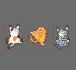 Scratch Pet Cat Car Sticker Scratch Body - Image 5