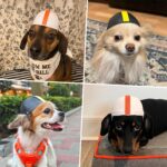 Pet Ride Motorcycle Safety Helmet - Image 6