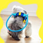 Dog Blind Second Generation Adjustable Pet Ring - Image 3