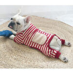Pet Parent-child Wear Striped Four-legged Padded Sweater - Image 4