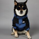 Windproof And Rainproof Large Dog Raincoat Pet Shell Jacket - Image 4