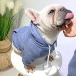 Pet with fleece hoodie - Image 7