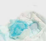 Diapers Pet Diapers Menstrual Pants Bitches - Image 4