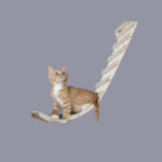 Solid Wood Wall Mounted Sisal Pole Cat Toy Platform Grabbing Board Grinding Grabbing - Image 9
